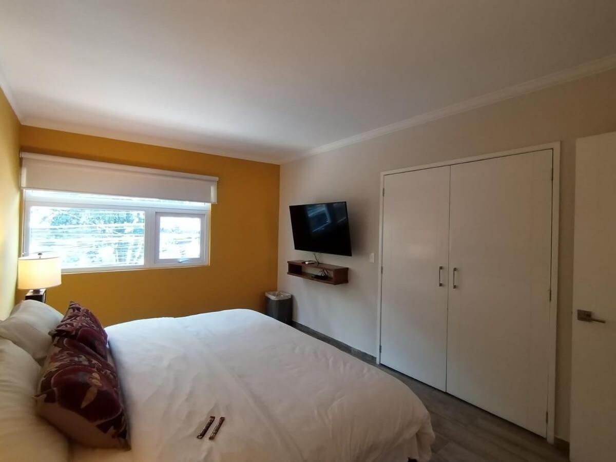 Arquimedes Patio I Luminous 1br In Polanco México DF