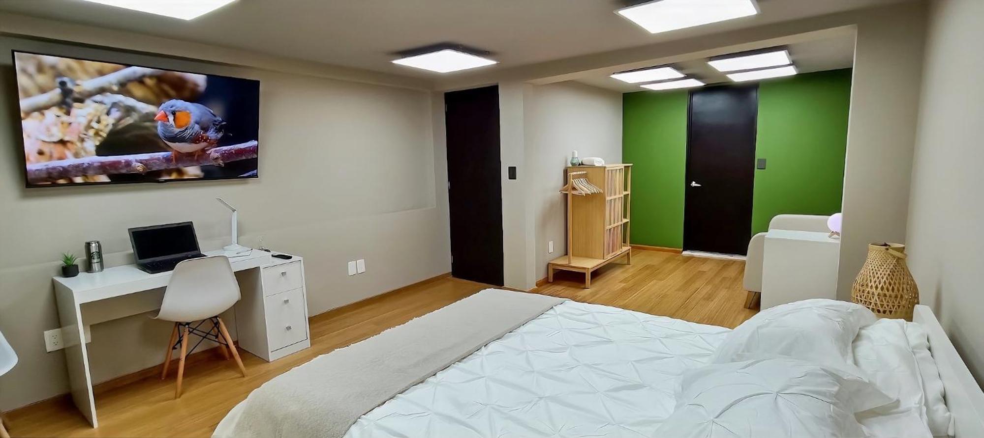 Coliving Condesa Master 2 Roble México DF
