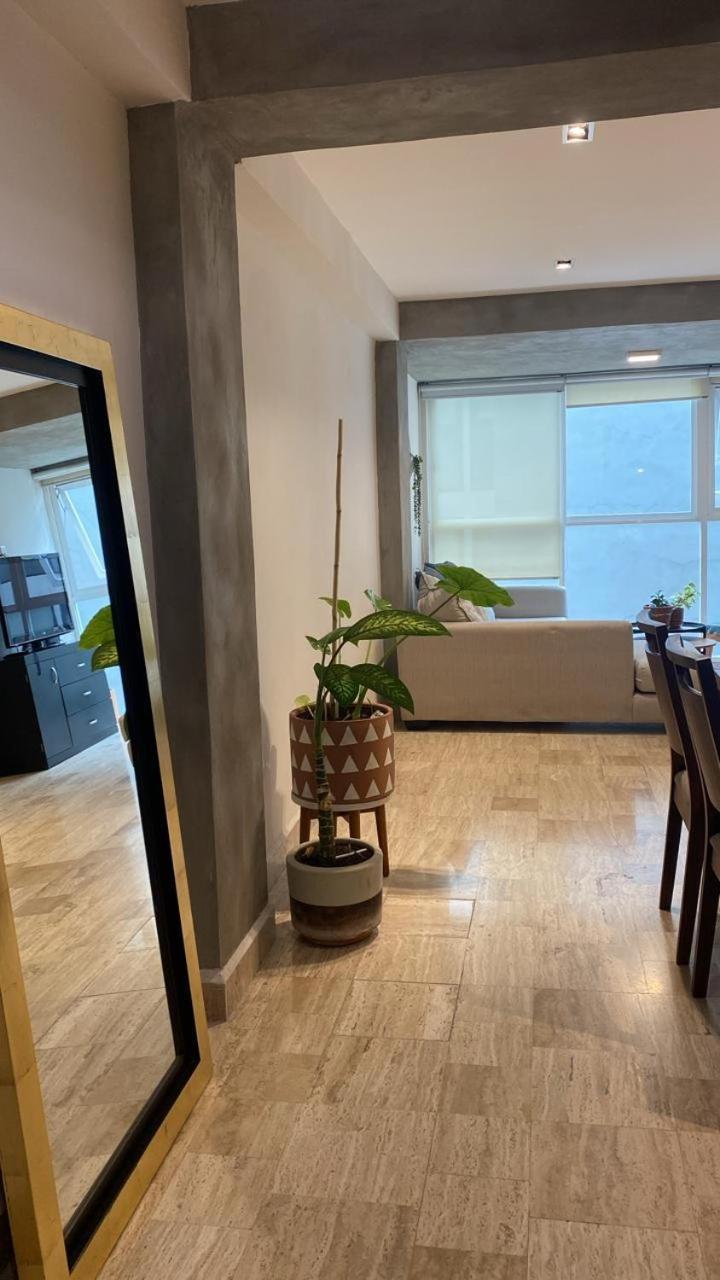 Apartamento Departamento Privado En Cdmx, Recien Remodelado En Ubicacion Privilegiada México DF