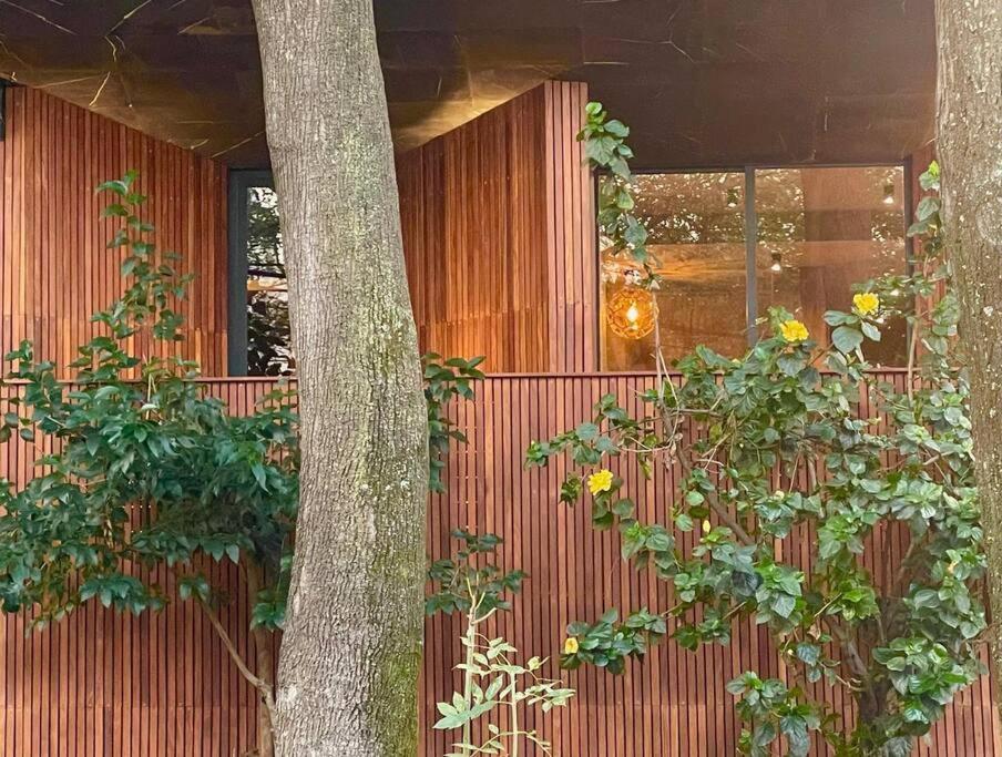 Casa Roma * México DF