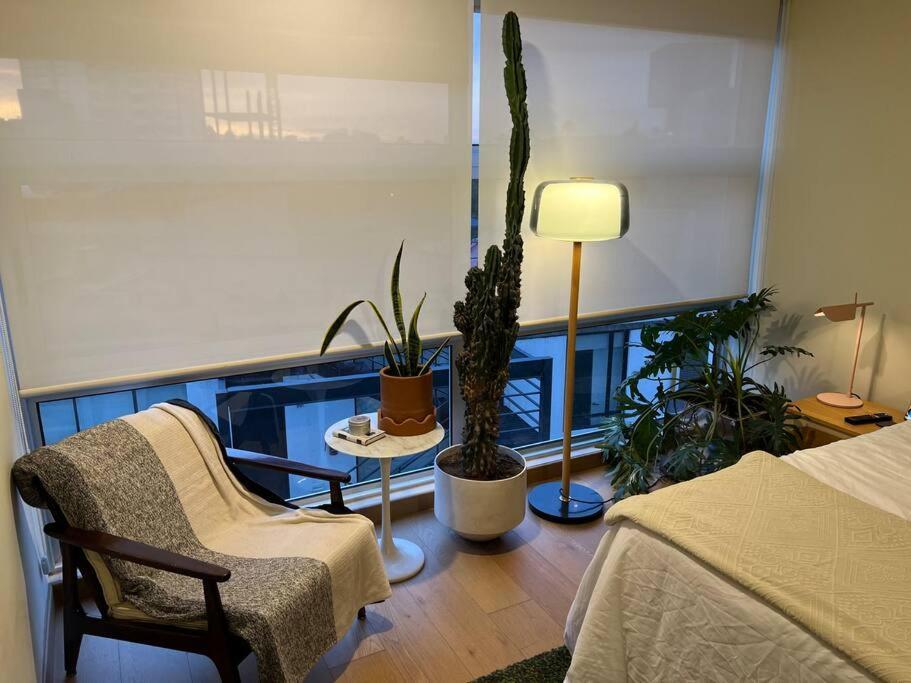 Amazing 2 Bedroom Condesa