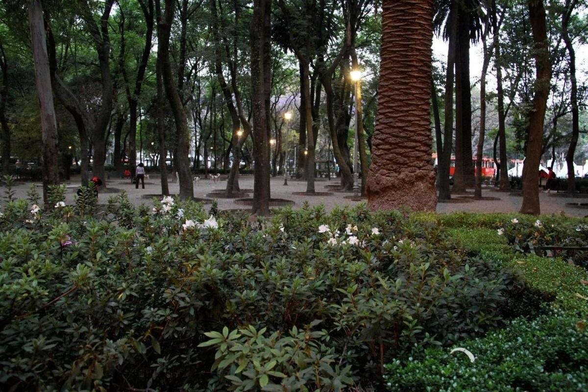 Apartamento Loft Comodo Y Privado | Colonia Condesa!