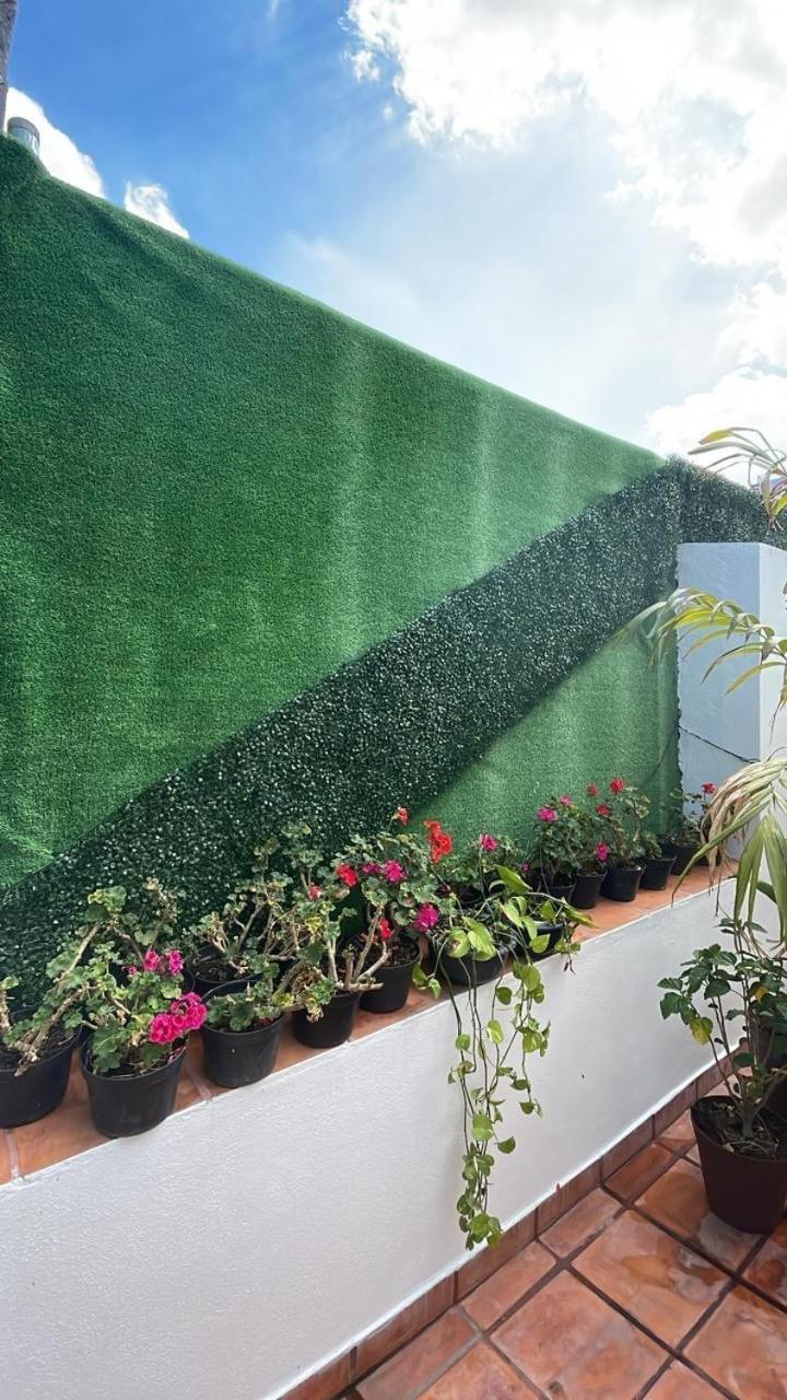 Acomodação com café da manhã  Casa Frida Condesa Cidade do México