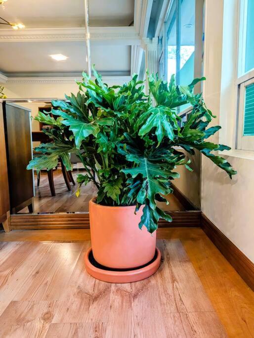 Real Condesa Apartamento
