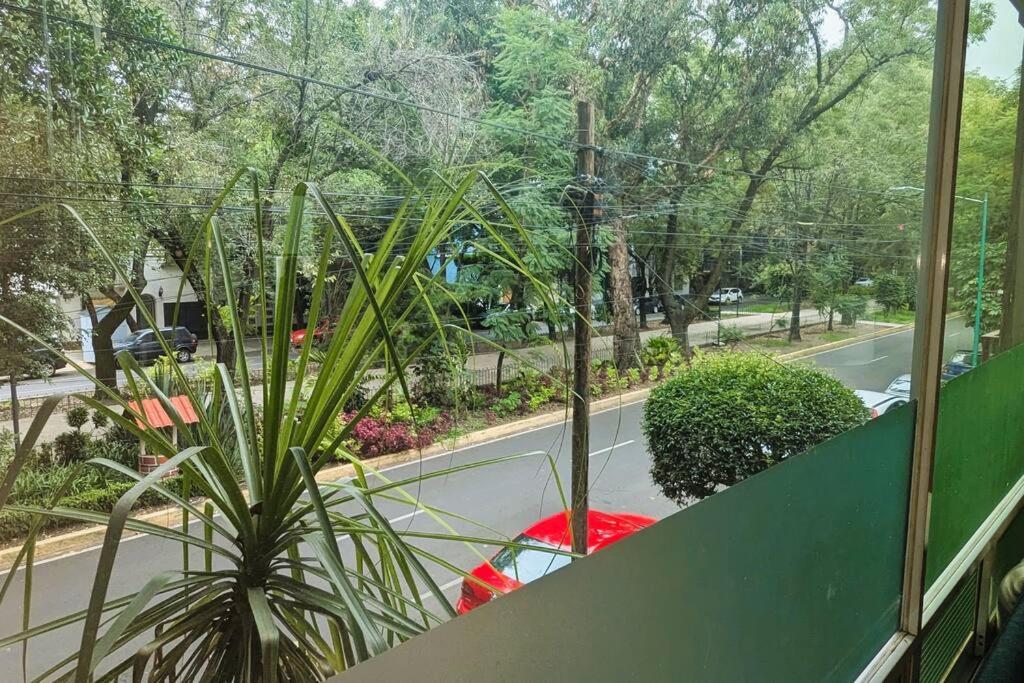 Real Condesa * México DF