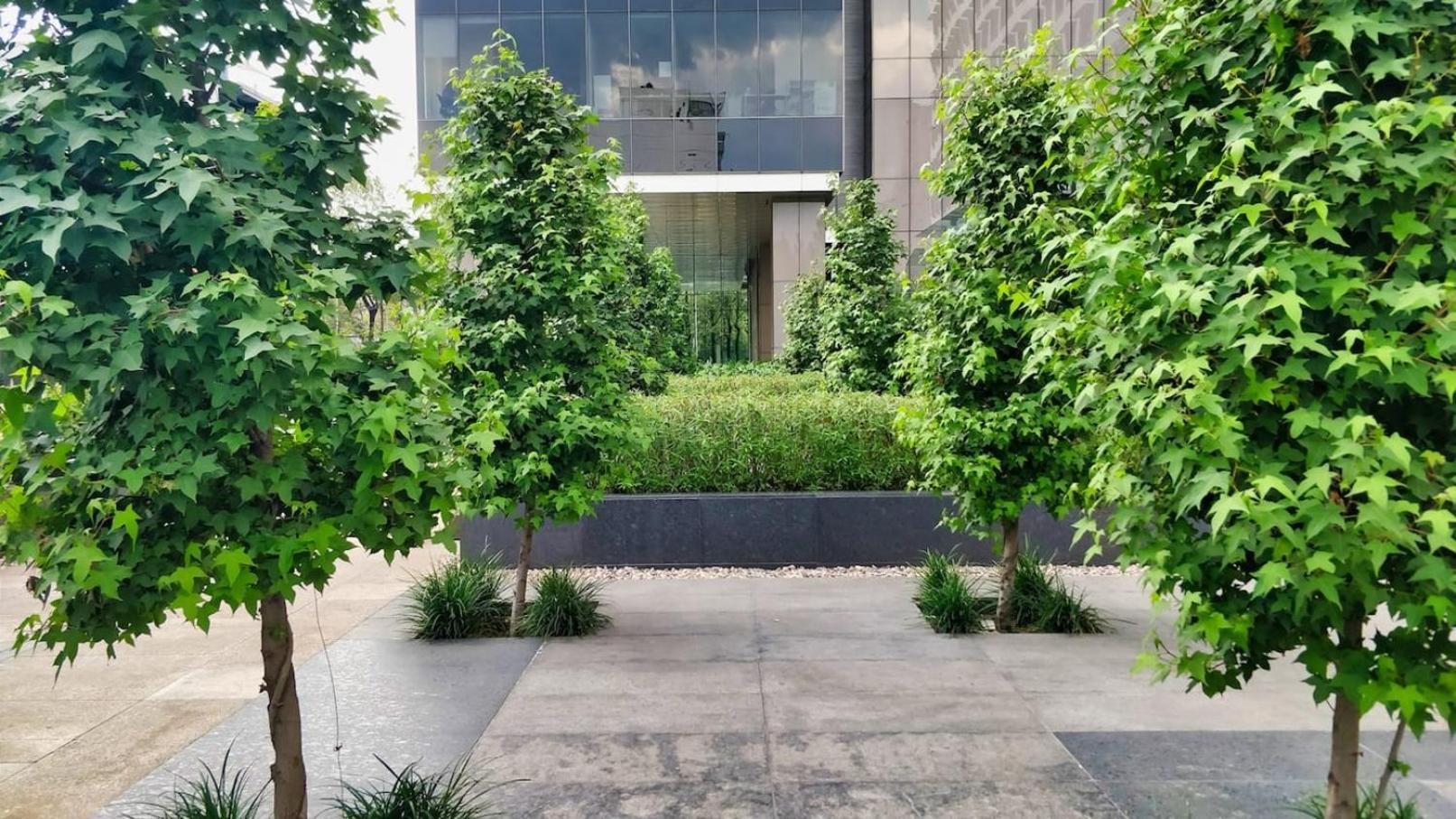 Apartamento Luxurious High-rise Hs Wifi, Amazing Views México DF