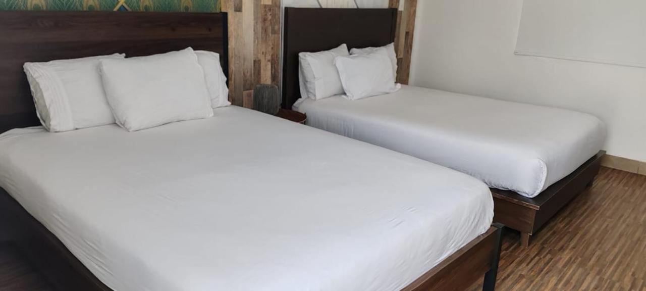 Casona Y Loft Merida By Escajal Homes