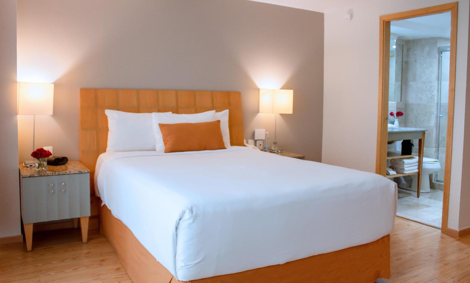 Alteza Polanco Hotel 4*