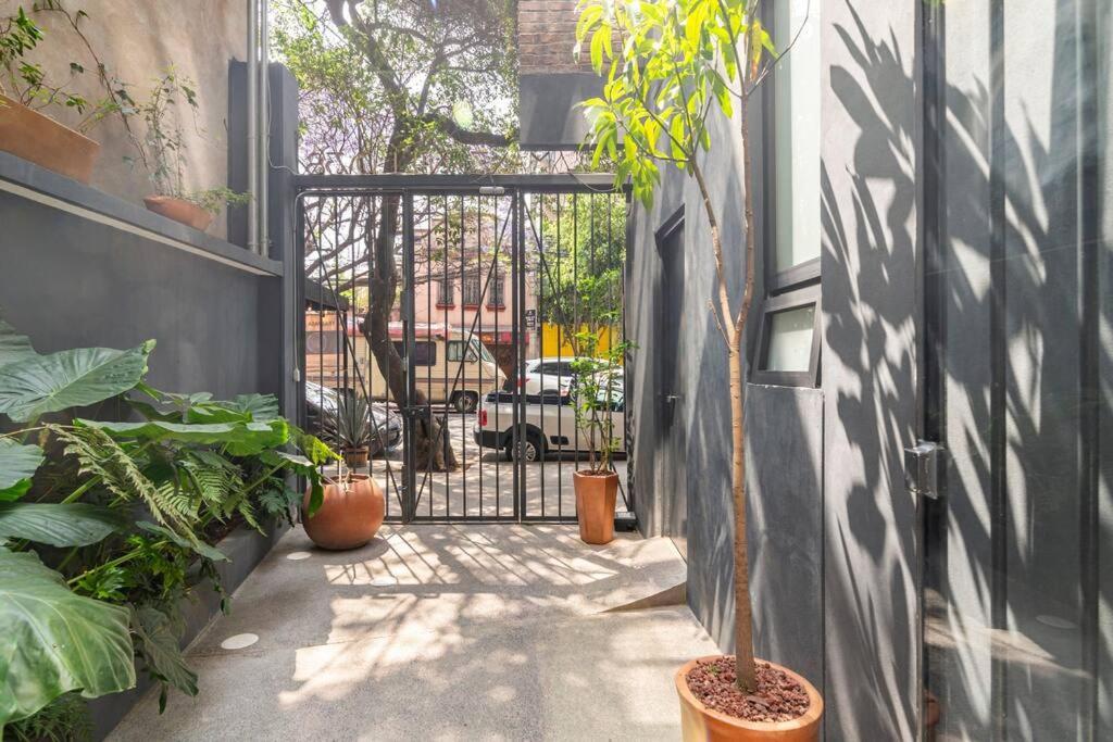 Modern And Comfy Right Between Roma-condesa * Cidade do México