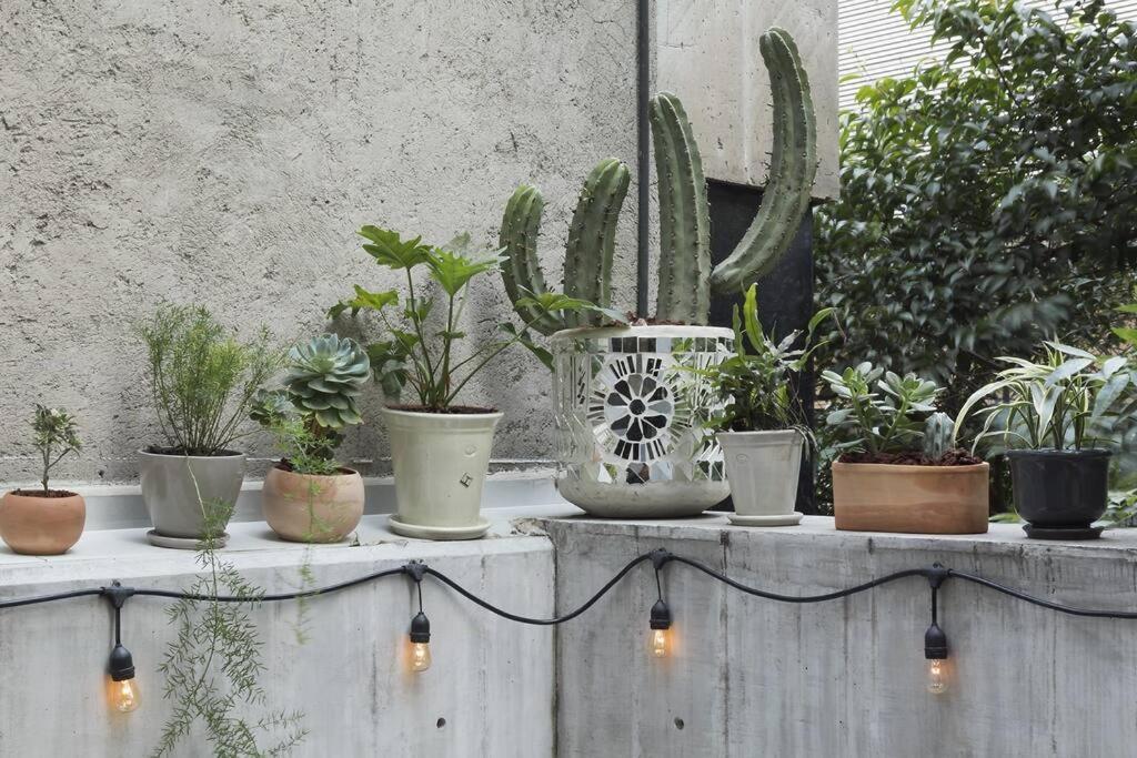 Casa Uruapan By Mrw Mexico City