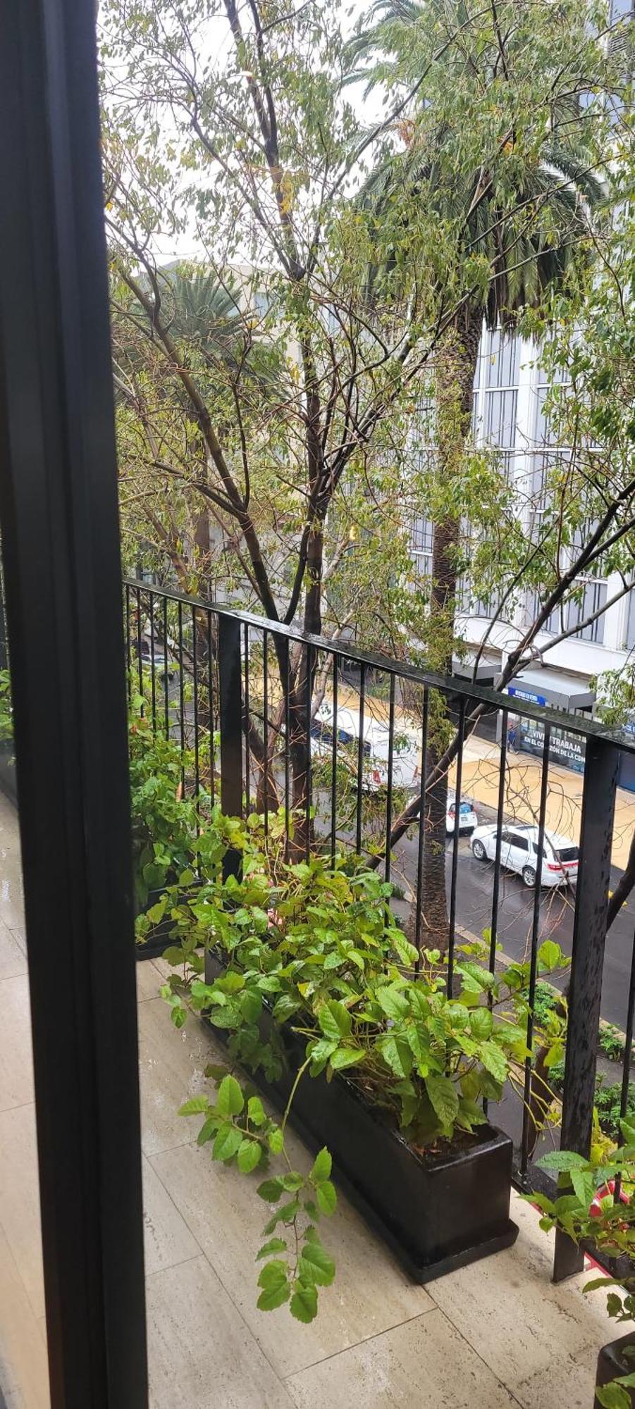 Nuevo Loft Excelente Ubicacion Apartamento México DF