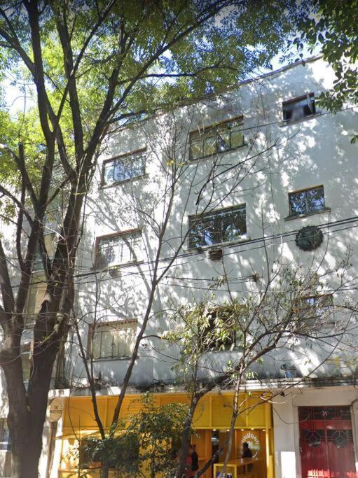 Condesa Epoca Dorada Apartamento México DF