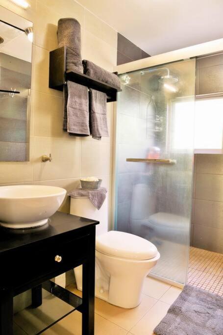 Beautiful Loft In Trendy Roma-condesa Elevator Apartamento