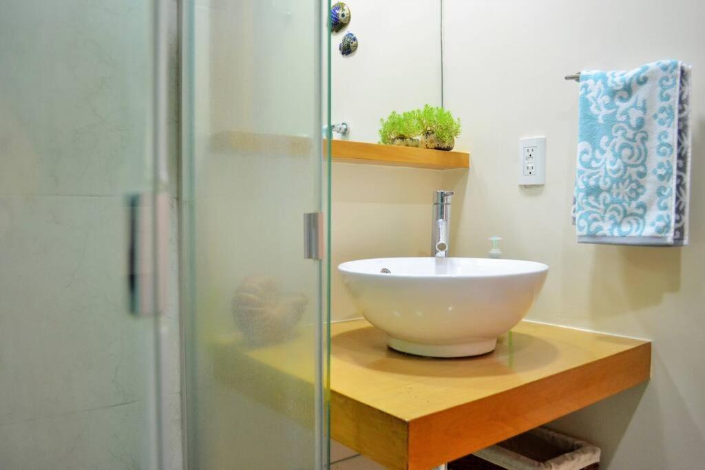Apartment Spacious & Bright In Beautiful Colonia Roma