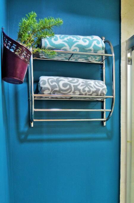 Apartment Spacious & Bright In Beautiful Colonia Roma *