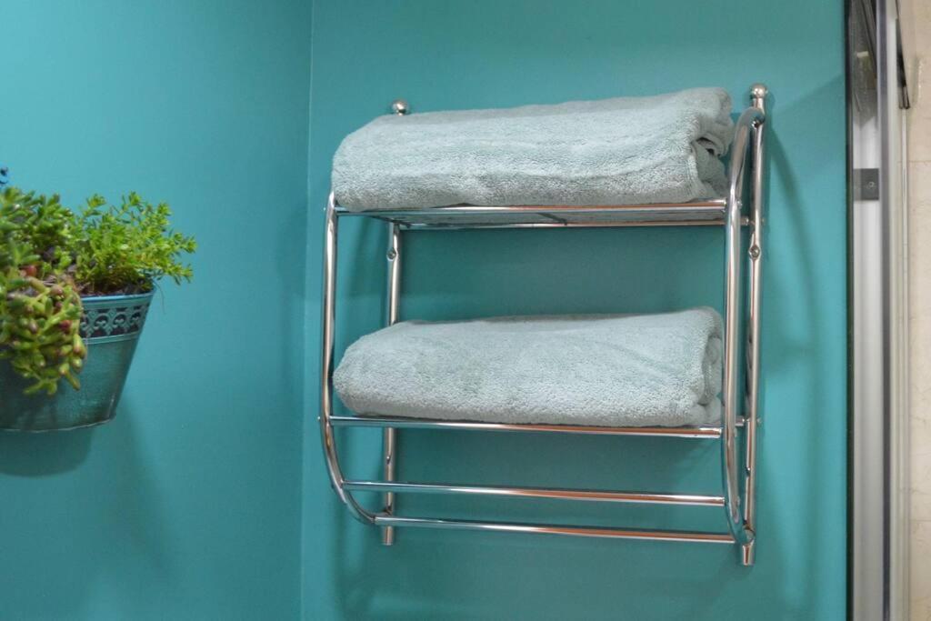 Spacious & Bright In Beautiful Colonia Roma Apartment