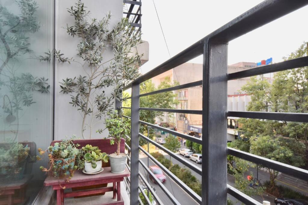 Spacious & Bright In Beautiful Colonia Roma Apartment Mexico City