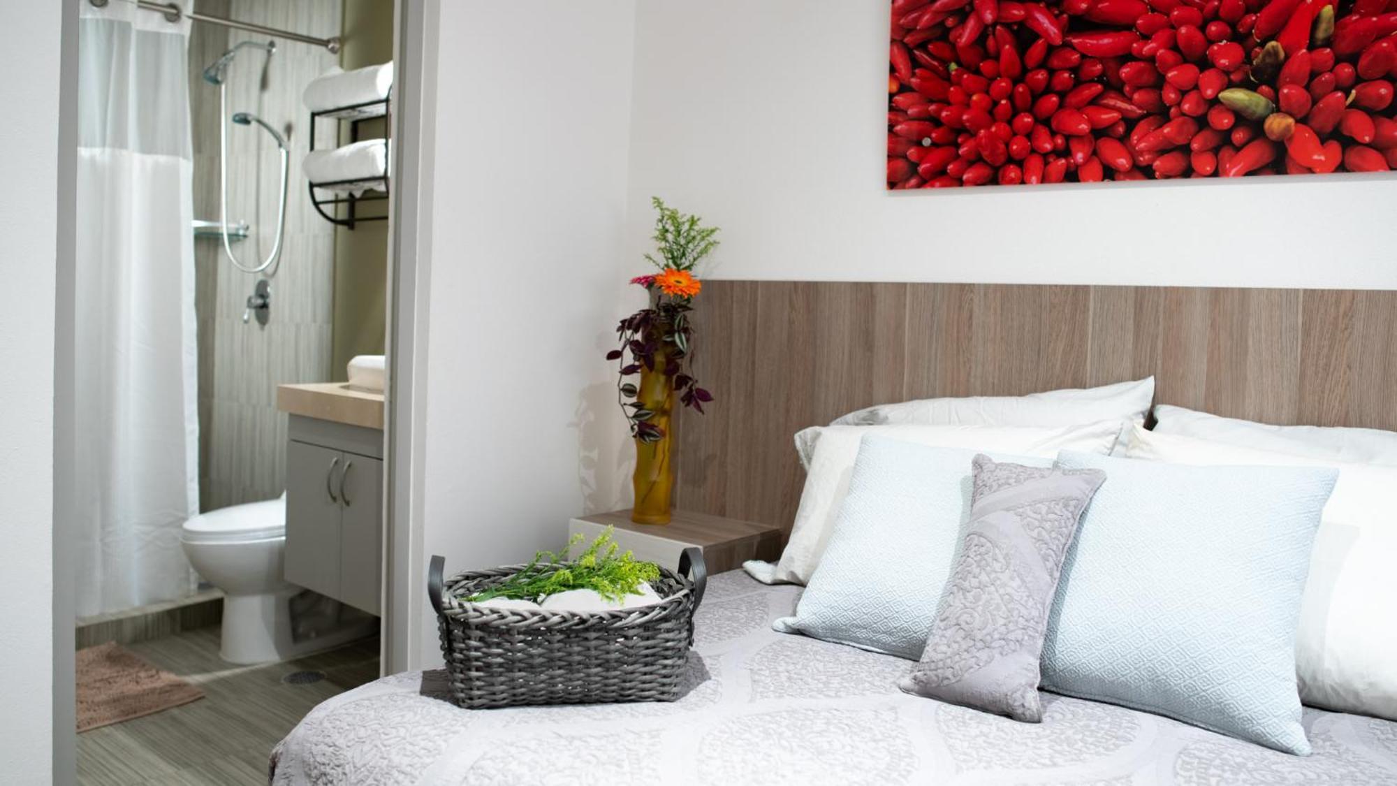 Casa Carmelia La Condesa Apartment Mexico City