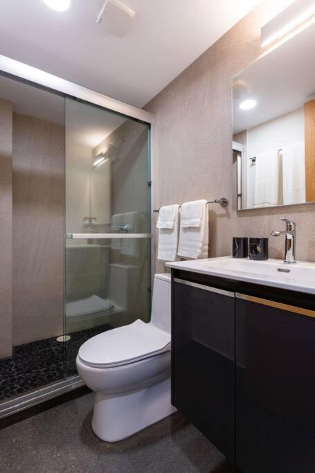 Chapultepec Two-bedroom Apartment, Rooftop Terrace
