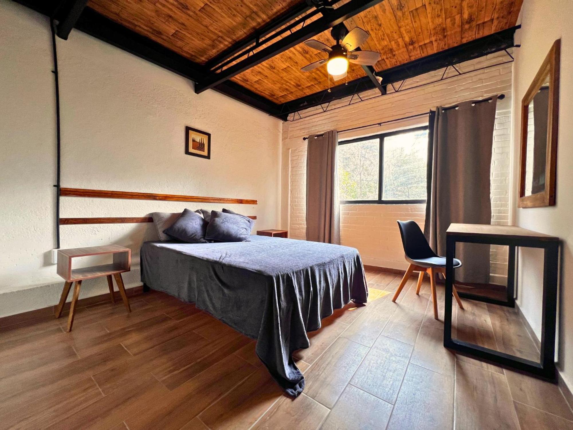 Discover Condesa Ideal Location Mexico City