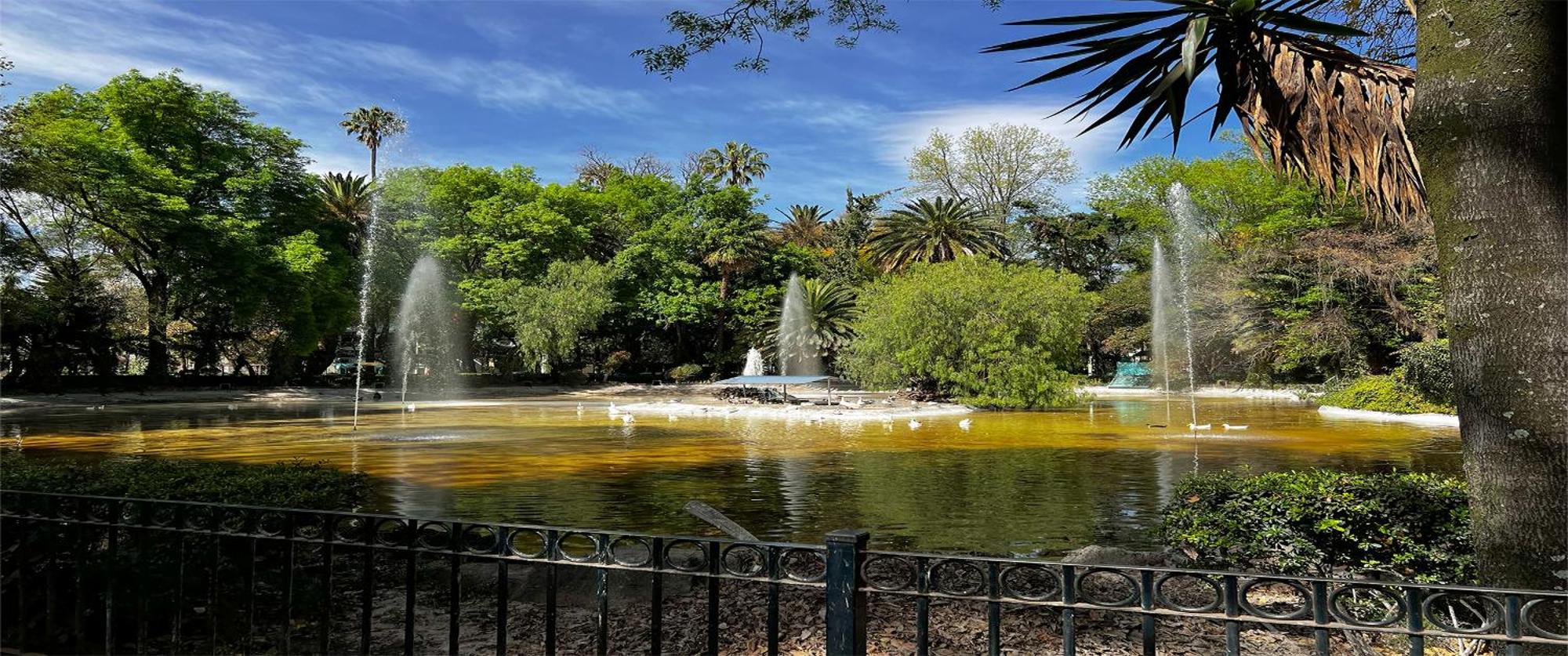 Discover Condesa Ideal Location Guest house Mexico City