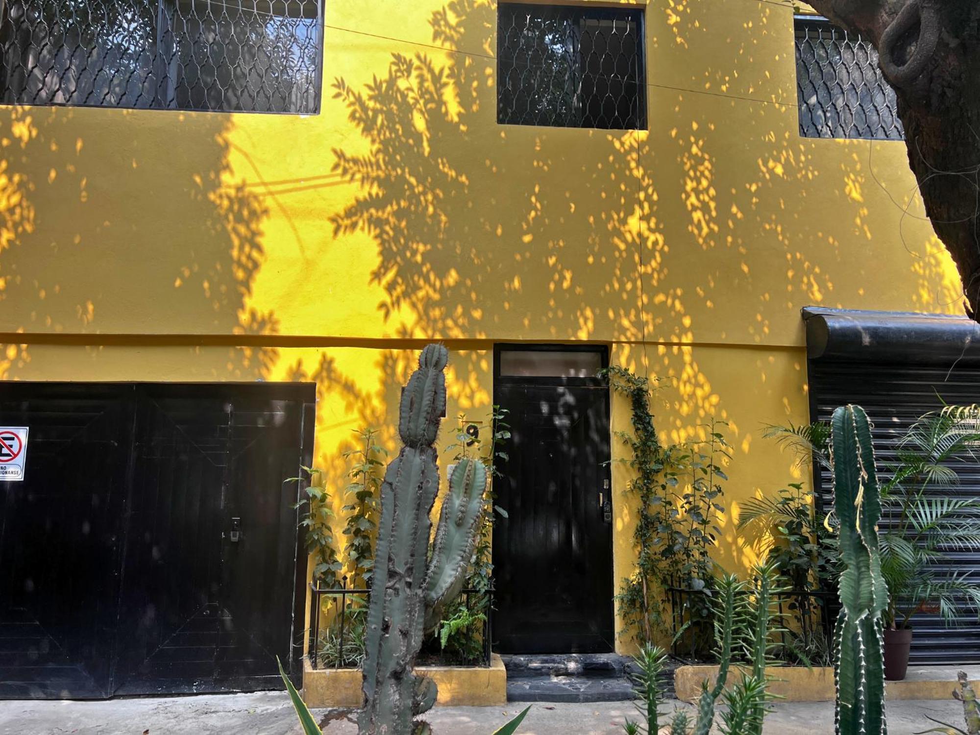 Discover Condesa Ideal Location Guest house