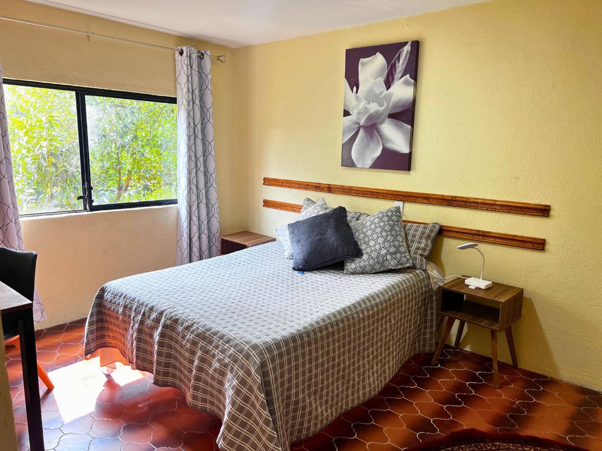 Discover Condesa Ideal Location Guest house *