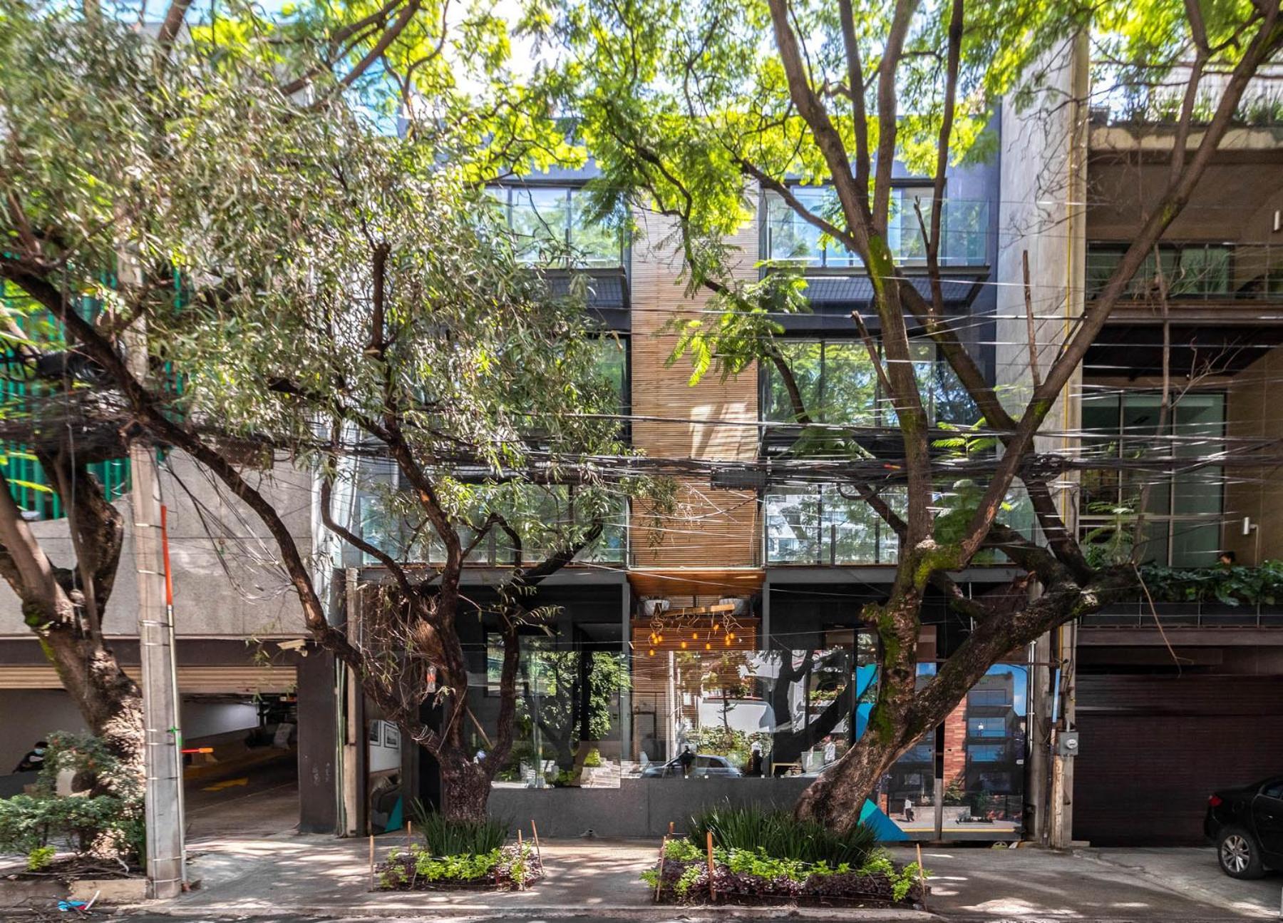 Increible Moderno En Polanco * México DF