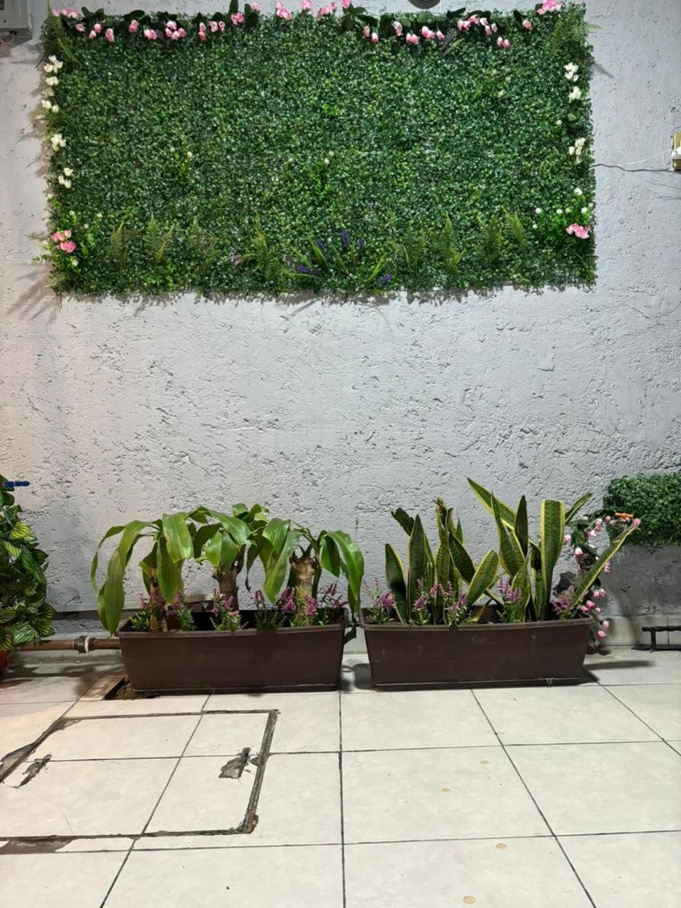 Departamento 2 *