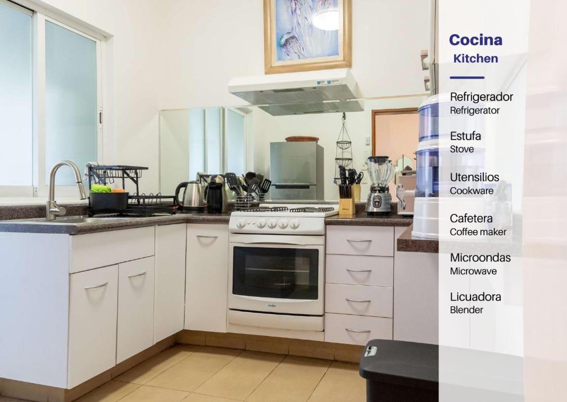 3bdr Modern Chapultepec Apartamento