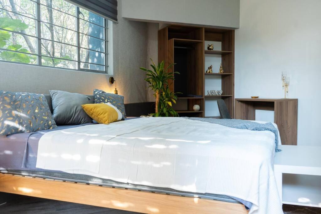 Apartment Casa Mexico-suite 5 Centro Historico 4 Pax Mexico City