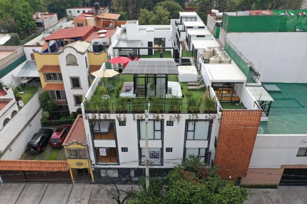 Coyoacan Frida's Favorite Loft Apartamento