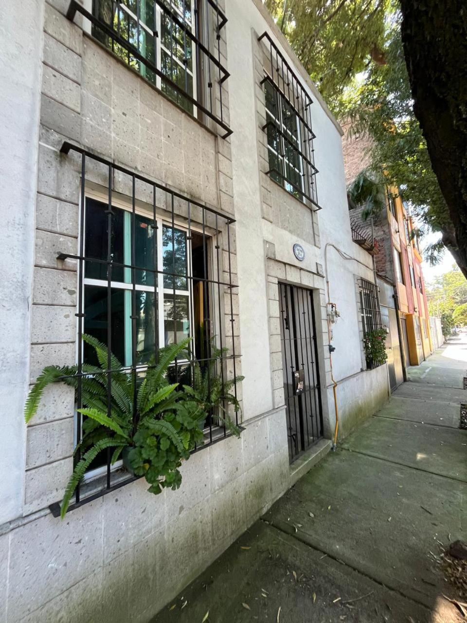 Superanfitrion Coyoacan El Alebrije * México DF