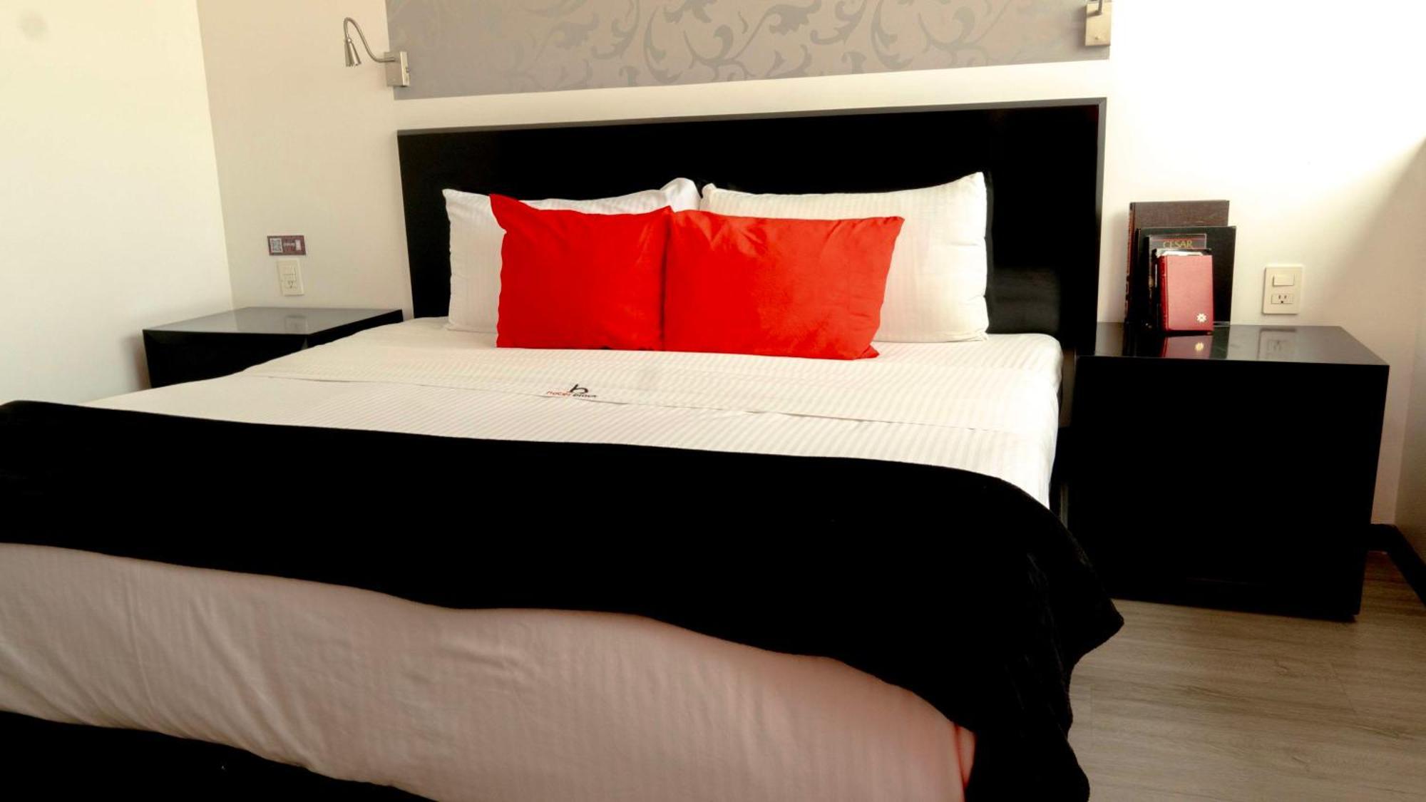 Hotel Black Boutique Mexico City