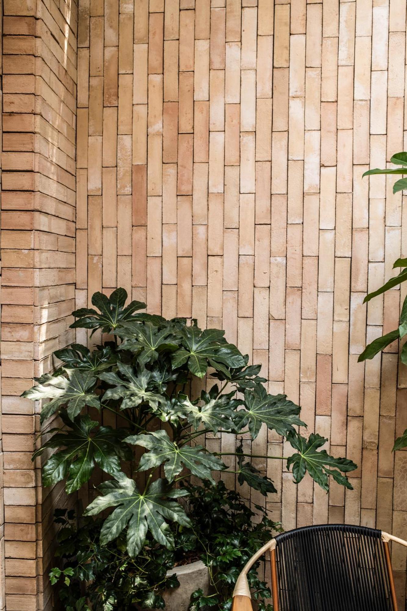 Casa Cuenca Hotel México DF
