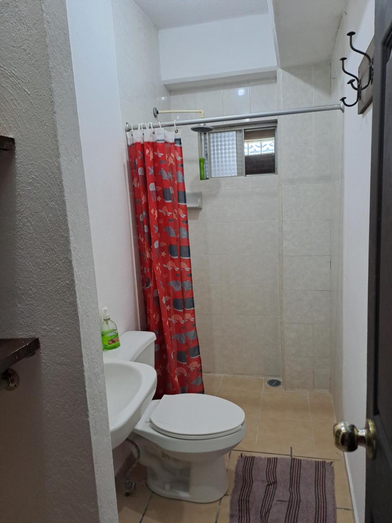 Tomas Wilson Mx Apartment Mexico City