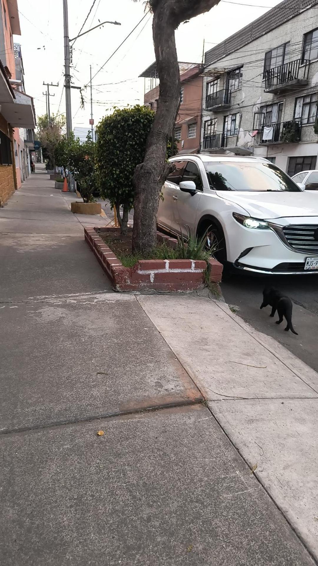 La Mas Comoda Y Elegante Apartamento
