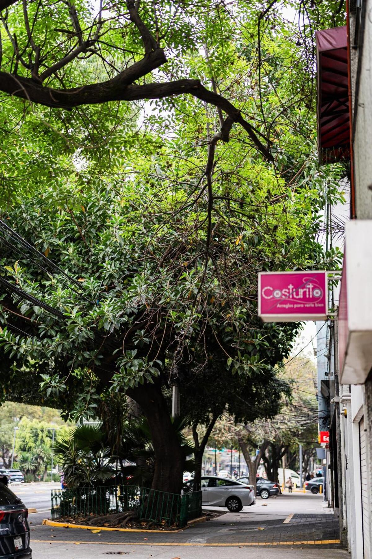Dos24 Apartamento