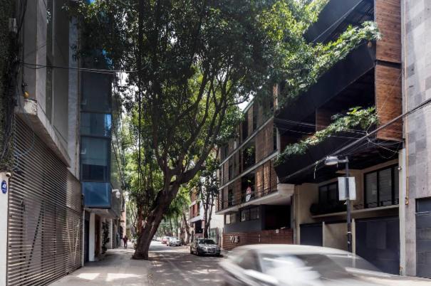 Exclusivo Espacio Contemporaneo! Apartment Mexico City