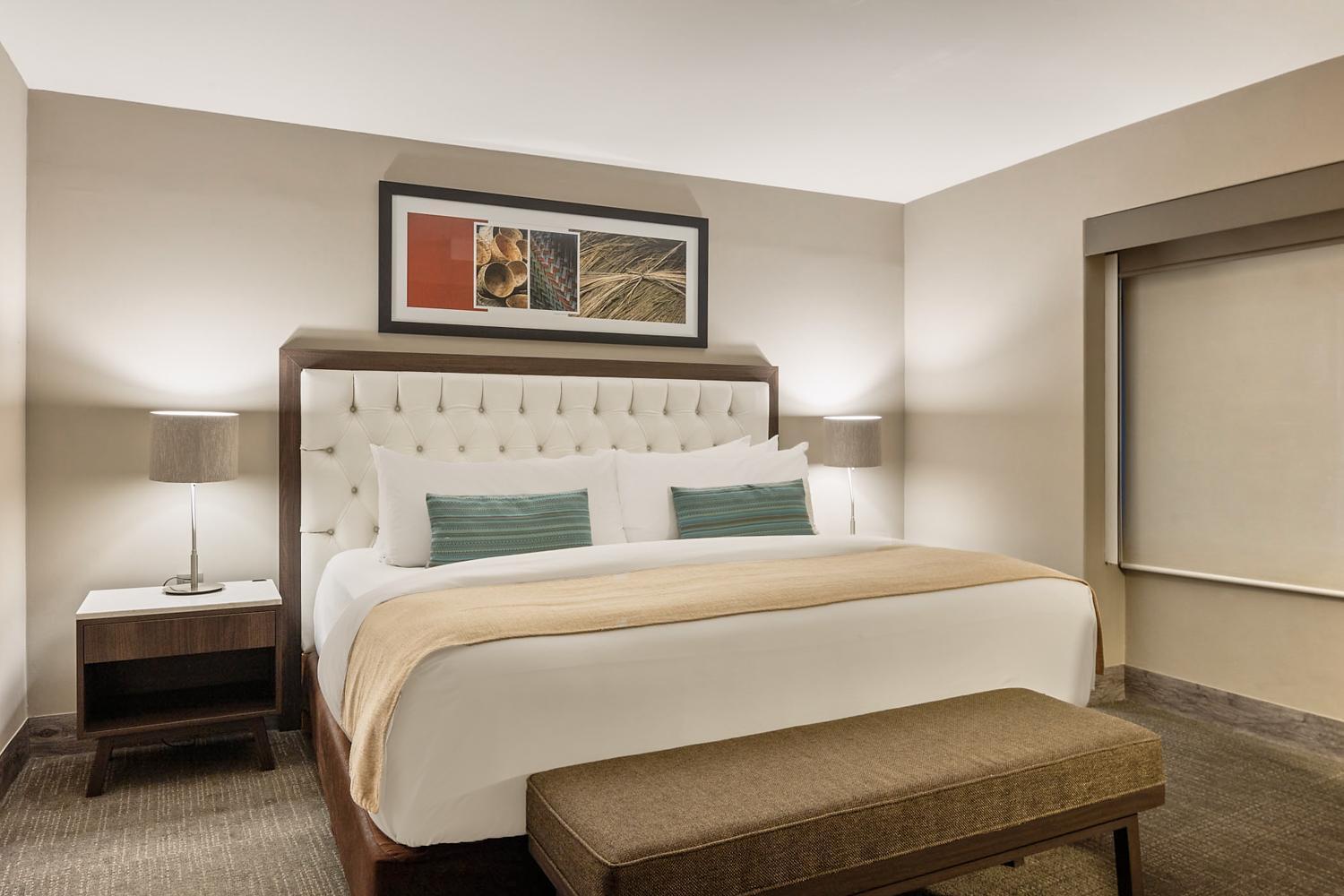 Dominion Polanco Hotel