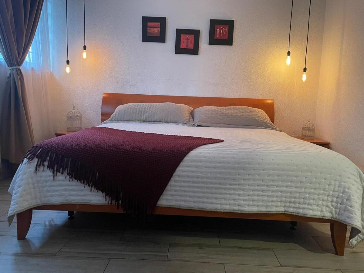 Departamento En Condesa Morada Luna 1 Mexico City