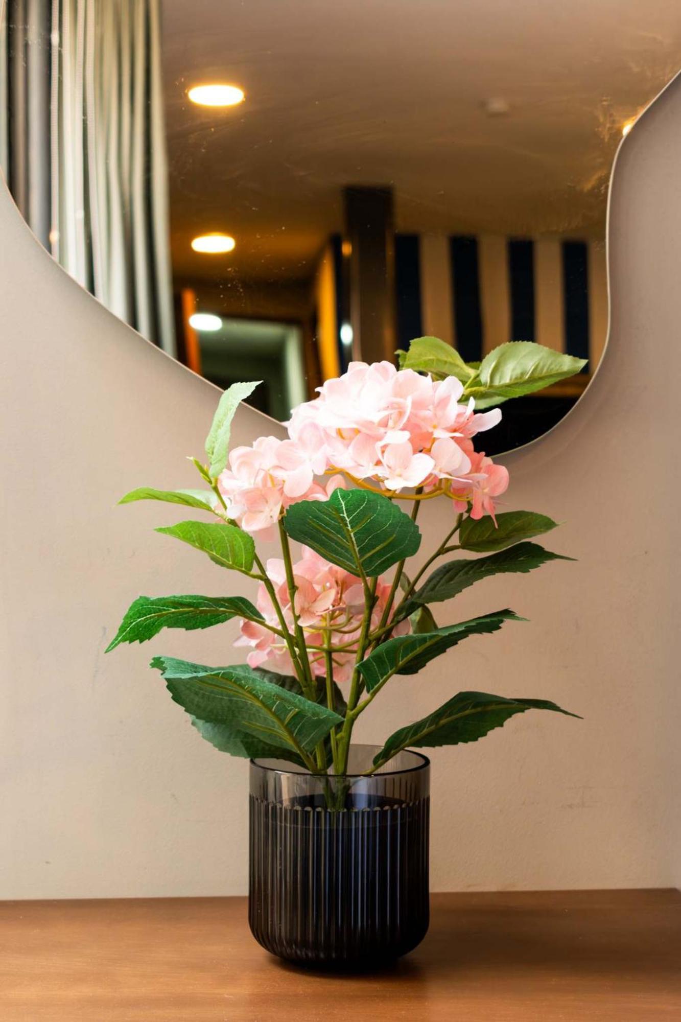 Super Loft Con Gran Ubicacion En La Condesa Inn