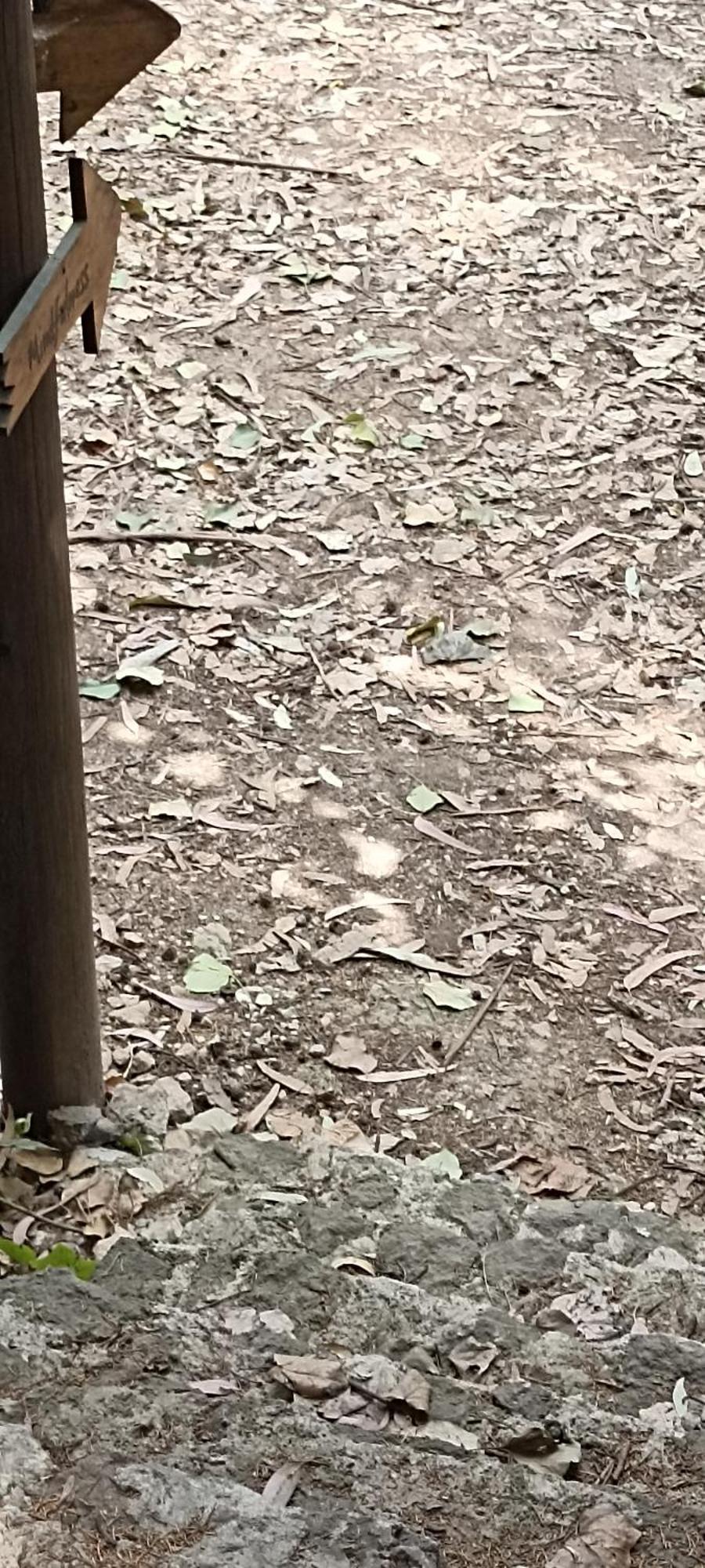 Mindfulness Glamping, Retiro De Yoga, México DF