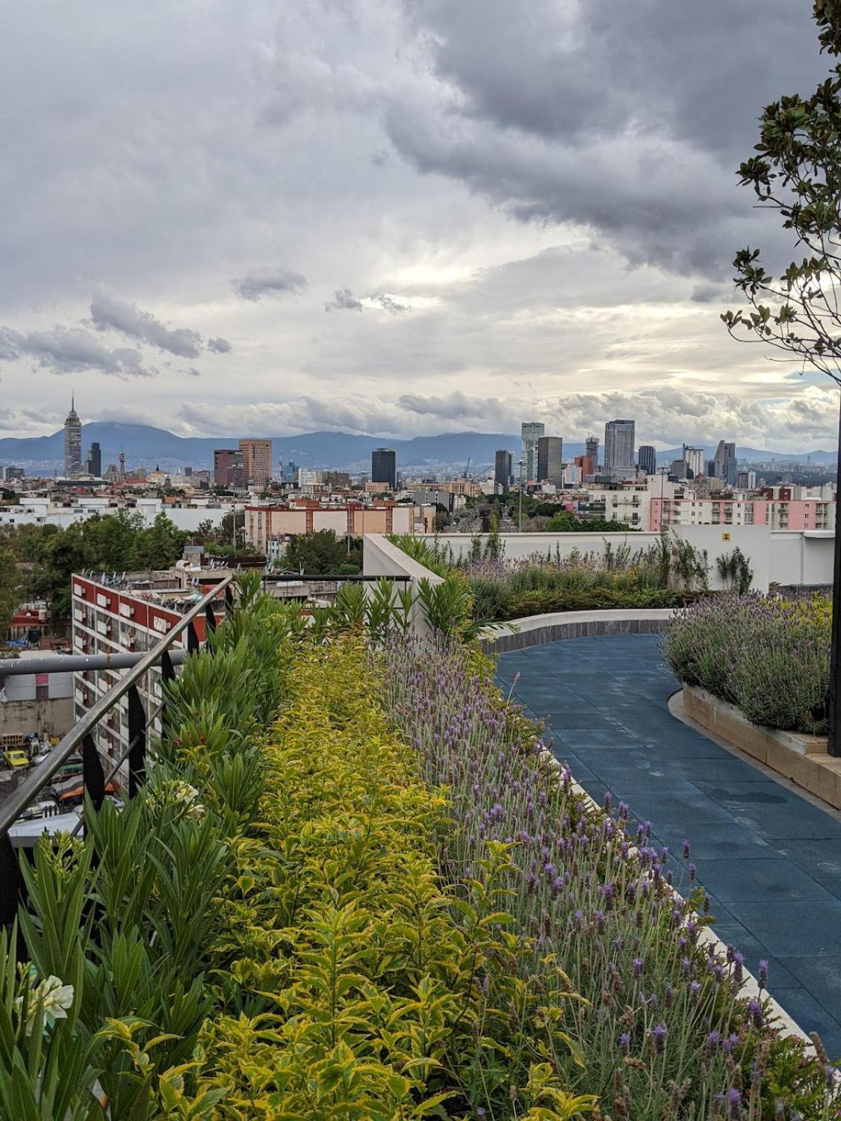 Apartamento Right @reforma - Beautiful With 2 Balconies