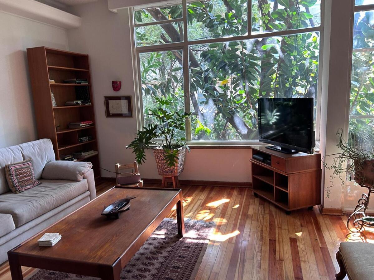 Artistic & Spacious House In Heart Of Polanco - 4