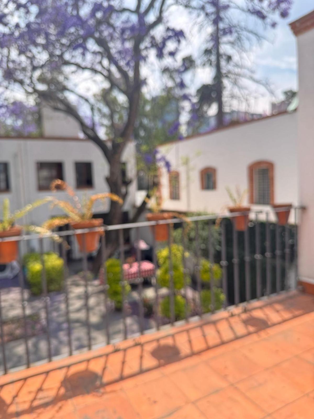 Сasa de vacaciones Little House San Angel Coyoacan *