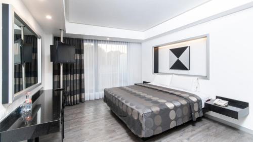 Harare 3* Mexico City