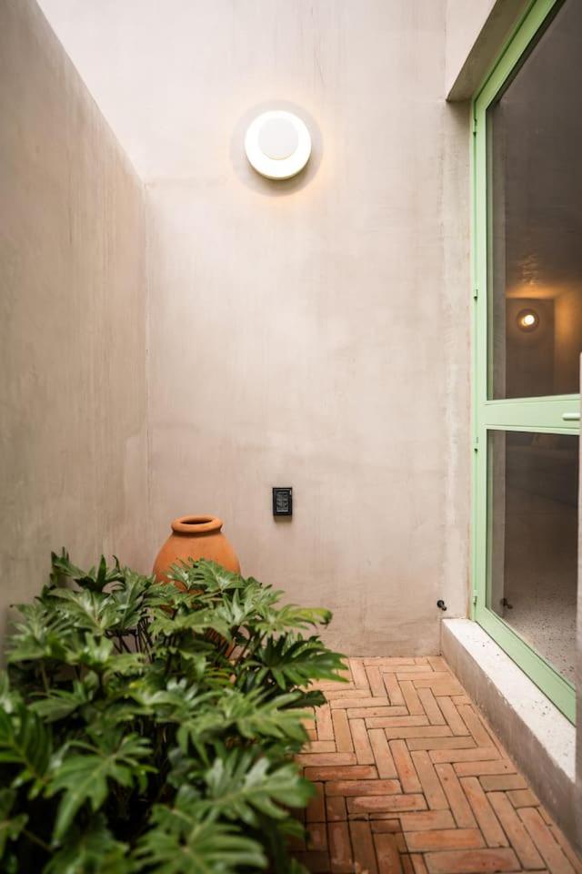 Apartamento Charming Cozy In The Heart Of Coyoacan México DF