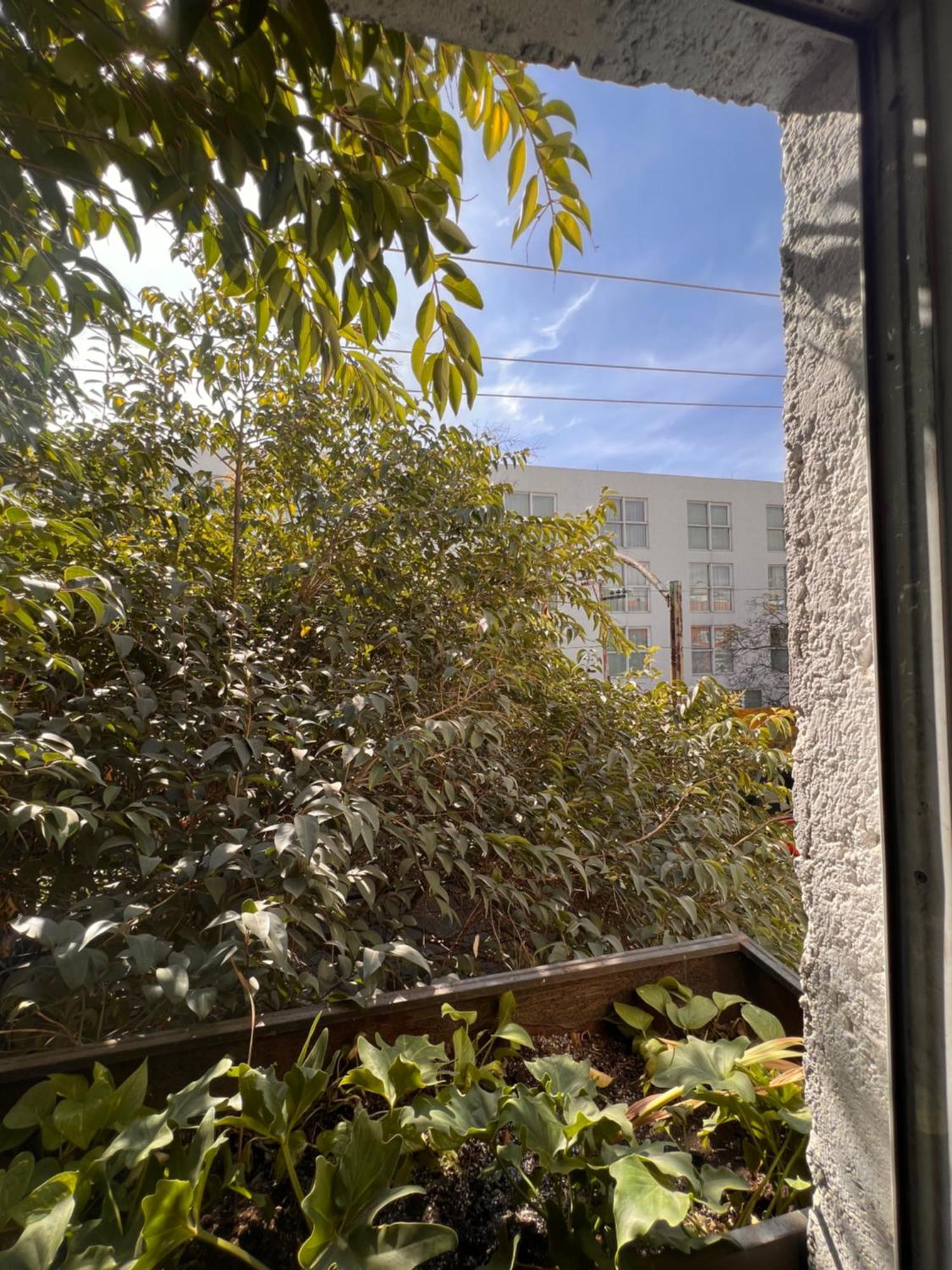 Apartahotel Sanrafa Polanco Ii *