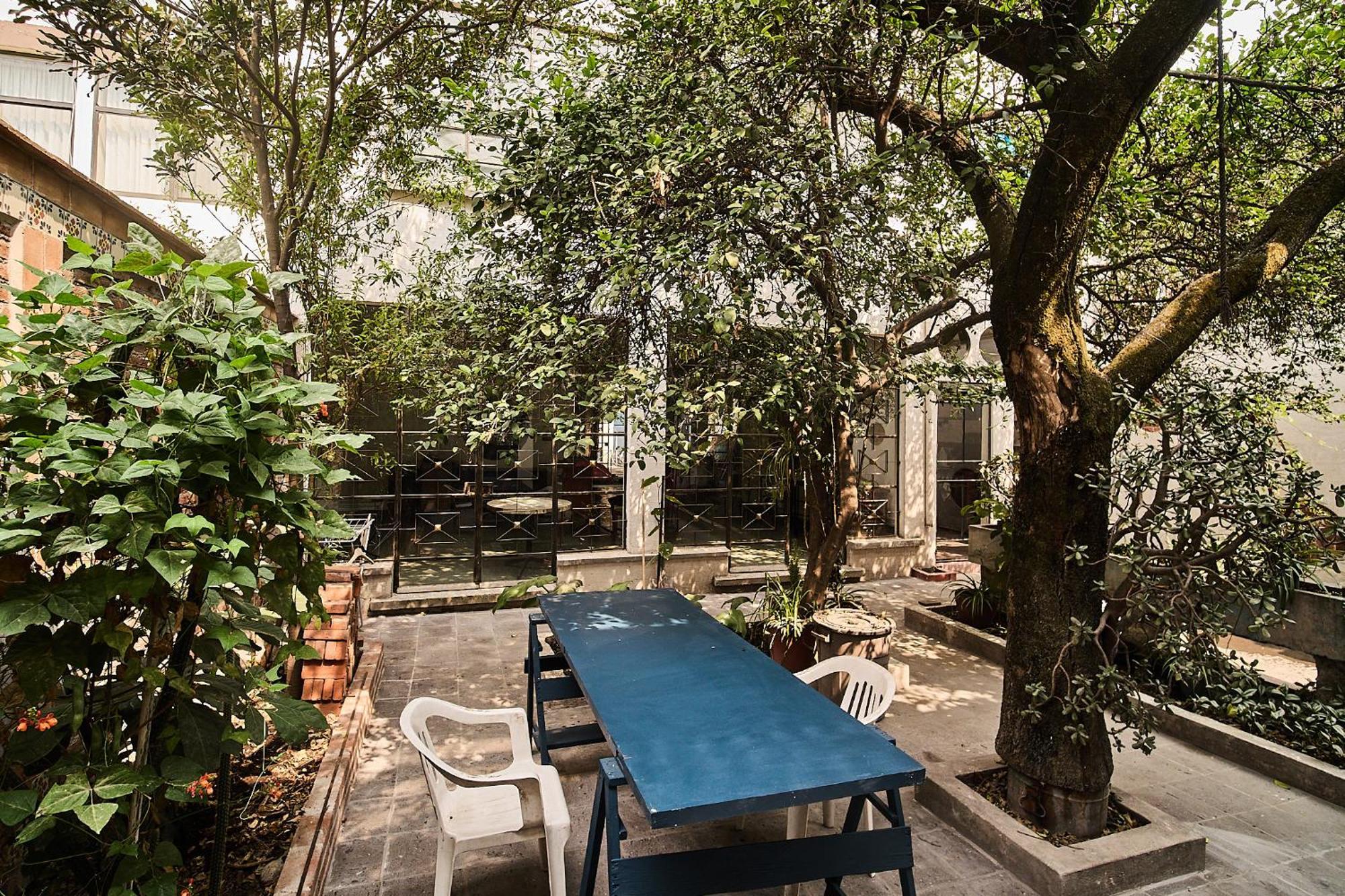 Nuevo Con Vistas A Jardin Cerca De Coyoacan Apartamento